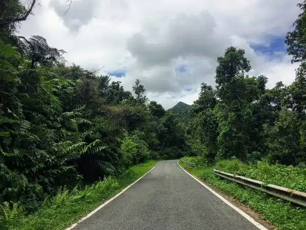 Walking along the road in El Yunque rainforest