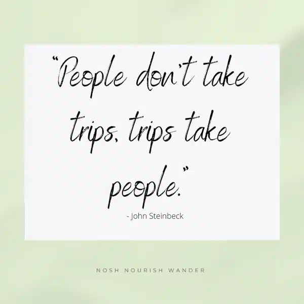 mindfulness quote, people don't take trips, trips take people. 