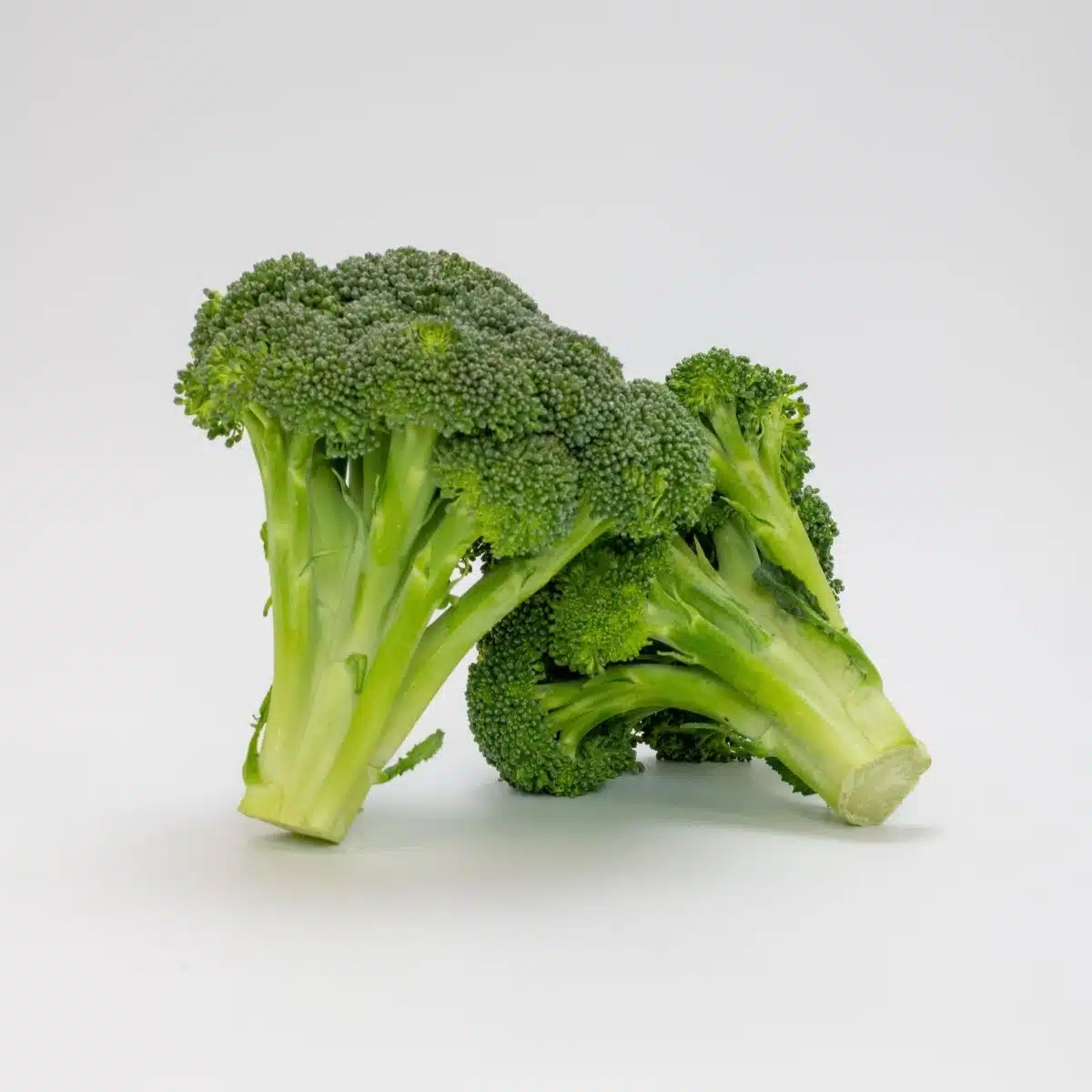 Is Broccoli Low FODMAP?