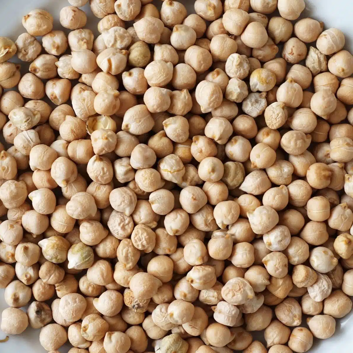 The Ultimate Guide to Low FODMAP Beans